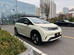 BYD Dolphin 420km Freedom Edition - ფოტო 3