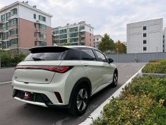BYD Dolphin 420km Freedom Edition - ფოტო 9