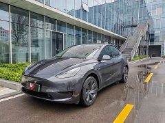 Tesla Model Y Rear-Wheel Drive - ფოტო 1
