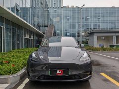 Tesla Model Y Rear-Wheel Drive - ფოტო 2