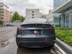 Tesla Model Y Rear-Wheel Drive - ფოტო 6