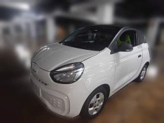 SAIC Colewey Corey Wei CLEVER 302km All-Purpose Edition - ფოტო 1