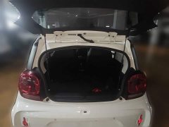 SAIC Colewey Corey Wei CLEVER 302km All-Purpose Edition - ფოტო 20
