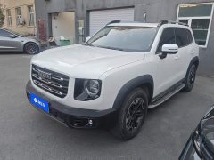 Great Wall Dachshund 2.0T DCT Four-Wheel Drive Chinese Rural Dog Edition - ფოტო 1