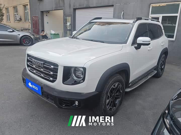 Great Wall Dachshund 2.0T DCT Four-Wheel Drive Chinese Rural Dog Edition