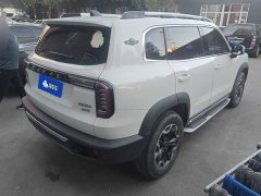 Great Wall Dachshund 2.0T DCT Four-Wheel Drive Chinese Rural Dog Edition - ფოტო 3