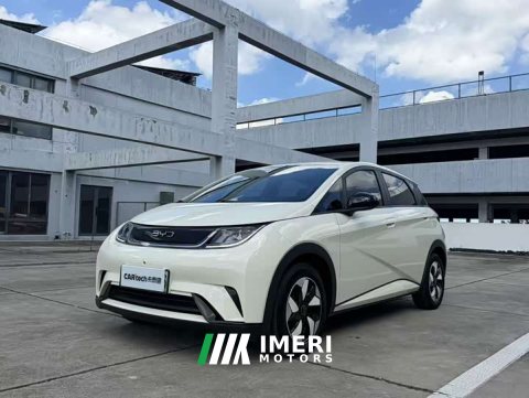 2024 BYD Dolphin 2025 420km Freedom Edition - ავტომობილი ჩინეთიდან