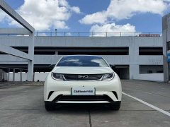BYD Dolphin 2025 420km Freedom Edition - ფოტო 2