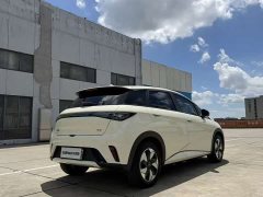 BYD Dolphin 2025 420km Freedom Edition - ფოტო 9