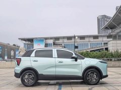 Geely Geometry E Firefly 301km Starlight - ფოტო 3