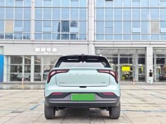 Geely Geometry E Firefly 301km Starlight - ფოტო 5