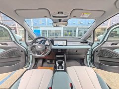 Geely Geometry E Firefly 301km Starlight - ფოტო 8