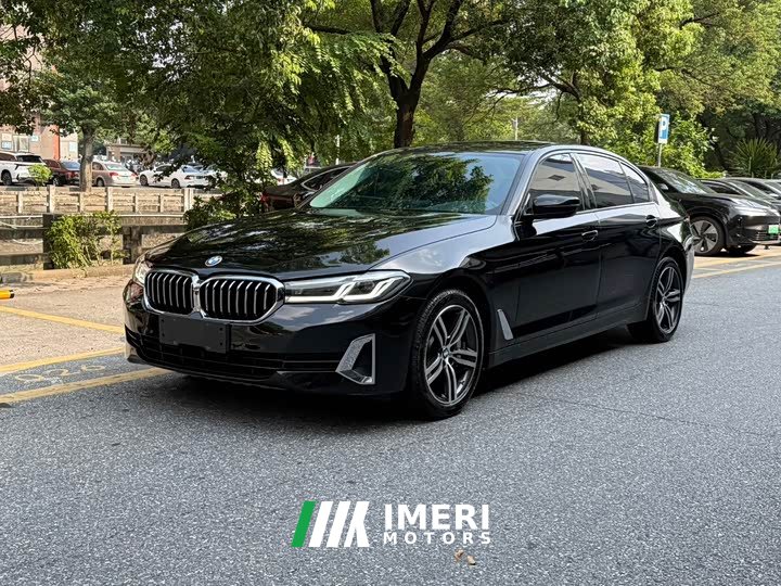 BMW 5 Series 530Li Premier Luxury Package - ავტომობილი ჩინეთიდან