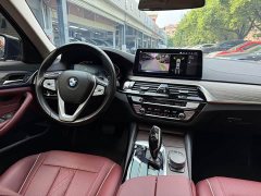 BMW 5 Series 530Li Premier Luxury Package - ფოტო 19