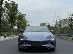 BYD Dolphin 550km Standard Range RWD Elite - ფოტო 2