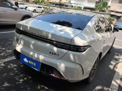 BYD Destroyer 05 2023 Champion Edition DM-i 55KM Luxury - ფოტო 3