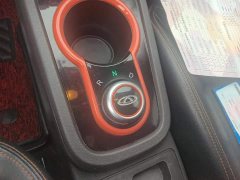 BYD Ant 200,000 Ant Fans Edition Talented Version Ternary Lithium 301km - ფოტო 16