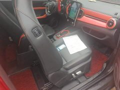 BYD Ant 200,000 Ant Fans Edition Talented Version Ternary Lithium 301km - ფოტო 8