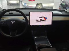 Tesla Model 3 2022 Rear-Wheel Drive - ფოტო 12