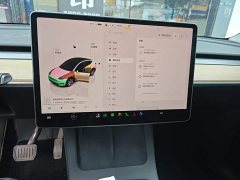 Tesla Model Y 2022 Facelift Rear-Wheel Drive - ფოტო 9