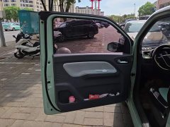 BMW Hongguang MINIEV Macaron Sandwich Edition 170km LFP - ფოტო 7