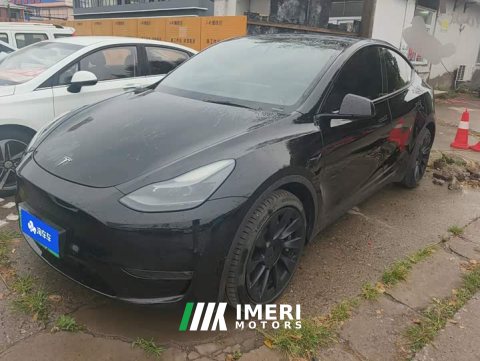 2021 Tesla Model Y Standard Range RWD - ავტომობილი ჩინეთიდან