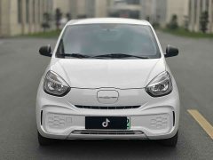 SAIC Corey CLEVER 311km Clever 311km Vitality Pop Edition - ფოტო 2