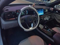 BYD Qin PLUS 2024 Glory Edition DM-i 55KM Leading - ფოტო 12