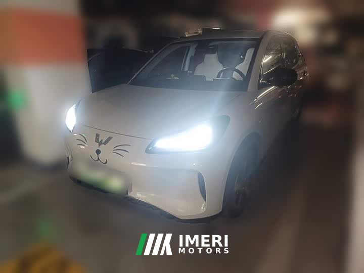 Wuling Binguo PLUS 2024 330km 5-Seater - ავტომობილი ჩინეთიდან