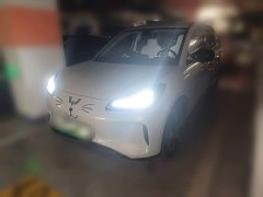 Wuling Binguo PLUS 2024 330km 5-Seater - ფოტო 1