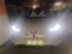 Wuling Binguo PLUS 2024 330km 5-Seater - ფოტო 2