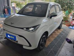 Chery Kaiyue Shiyue Mate 300km Talanglang Edition - ფოტო 1