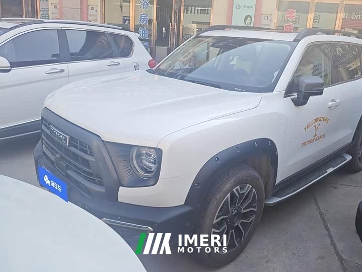 Great Wall Dachshund 2.0T DCT Four-Wheel Drive Howling Celestial Dog Edition - ავტომობილი ჩინეთიდან