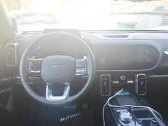 Great Wall Dachshund 2.0T DCT Four-Wheel Drive Howling Celestial Dog Edition - ფოტო 15
