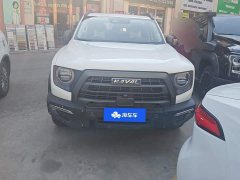Great Wall Dachshund 2.0T DCT Four-Wheel Drive Howling Celestial Dog Edition - ფოტო 2