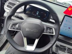BYD Destroyer 05 Glory Edition DM-i 55KM Luxury - ფოტო 15