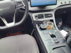 BYD Destroyer 05 Glory Edition DM-i 55KM Luxury - ფოტო 16