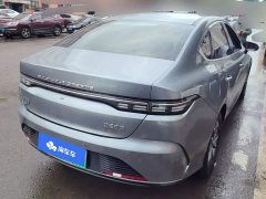 BYD Destroyer 05 Glory Edition DM-i 55KM Luxury - ფოტო 3