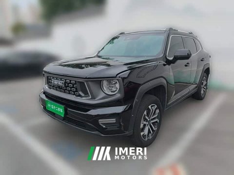 2023 Haval Big Dog PLUS 2.0T Two-Wheel Drive Trendy Wilderness Edition Plus - ავტომობილი ჩინეთიდან