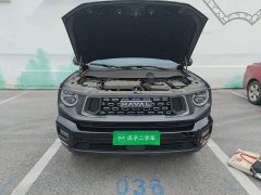 Haval Big Dog PLUS 2.0T Two-Wheel Drive Trendy Wilderness Edition Plus - ფოტო 16