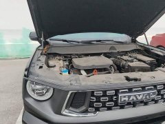 Haval Big Dog PLUS 2.0T Two-Wheel Drive Trendy Wilderness Edition Plus - ფოტო 20