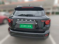 Haval Big Dog PLUS 2.0T Two-Wheel Drive Trendy Wilderness Edition Plus - ფოტო 3
