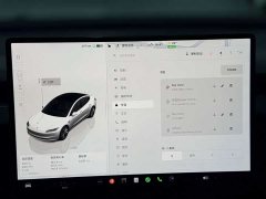 Tesla Model 3 2025 Long Range Rear-Wheel Drive - ფოტო 20