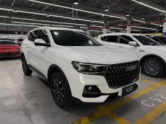 Haval H6 2023 National Trend Edition 1.5T Automatic Urban Version - ფოტო 3