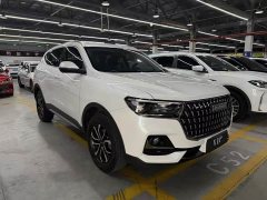 Haval H6 National Trend Edition 1.5T Automatic Urban Version - ფოტო 3