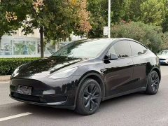 Tesla Model Y Rear-Wheel Drive - ფოტო 2