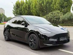 Tesla Model Y Rear-Wheel Drive - ფოტო 3
