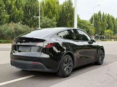 Tesla Model Y Rear-Wheel Drive - ფოტო 7