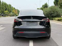Tesla Model Y Rear-Wheel Drive - ფოტო 8