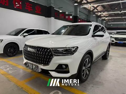 2023 Haval H6 National Trend Edition 1.5T Automatic Champion Version - ავტომობილი ჩინეთიდან